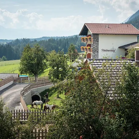 Appartement Plattnerhof Terfens