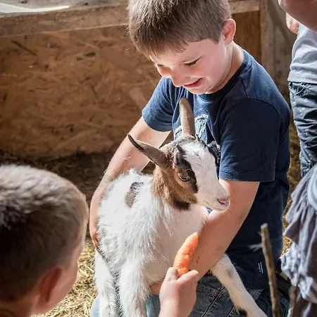 Apartman Plattnerhof