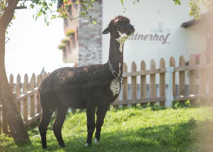 Διαμέρισμα Plattnerhof *