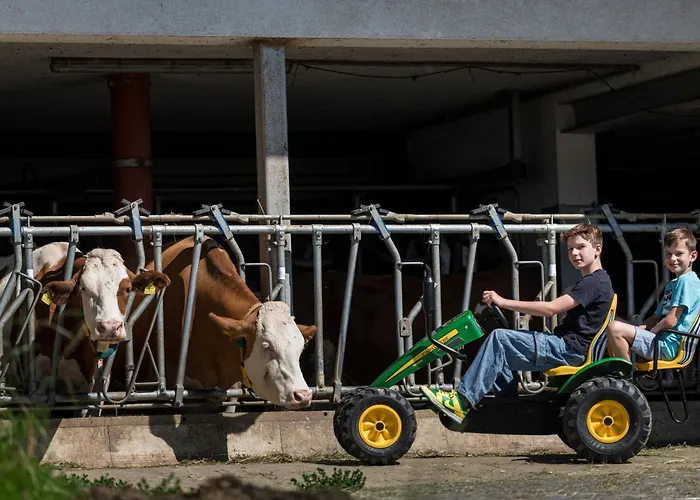 Plattnerhof Διαμέρισμα