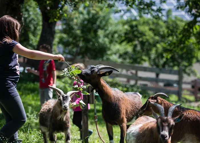 Plattnerhof Διαμέρισμα Terfens