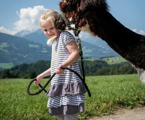 Plattnerhof * Terfens