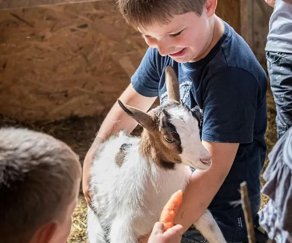 Διαμέρισμα Plattnerhof