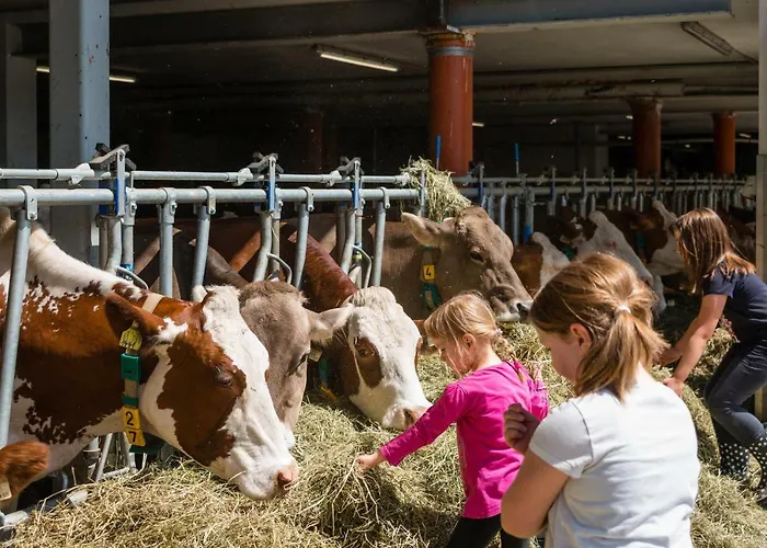 Plattnerhof Διαμέρισμα *