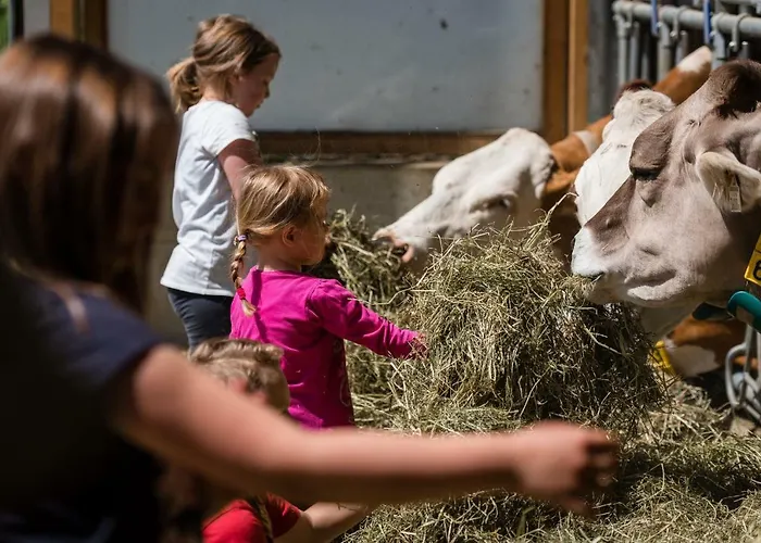 Διαμέρισμα Plattnerhof *