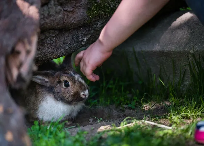 Plattnerhof * Terfens