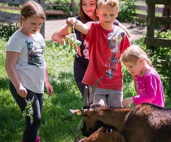 Plattnerhof Διαμέρισμα Terfens