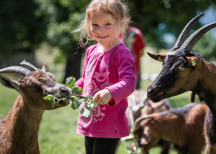 Διαμέρισμα Plattnerhof *