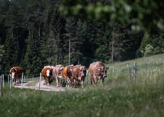 Plattnerhof * Terfens