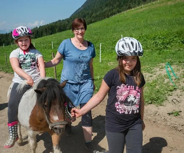 Διαμέρισμα Plattnerhof *