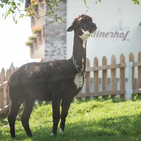 公寓 Plattnerhof *