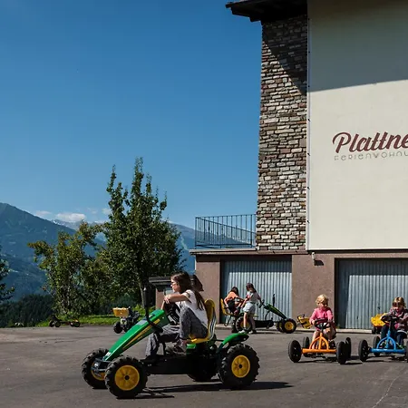 Plattnerhof 公寓 *