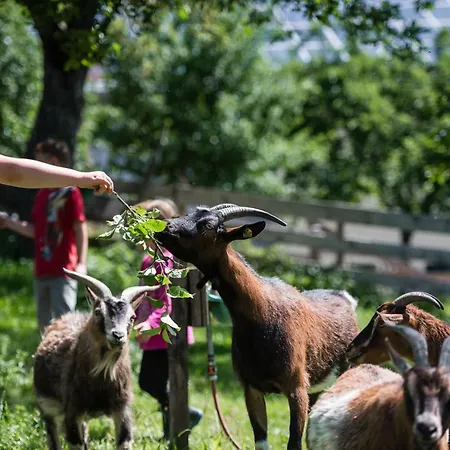 Plattnerhof 公寓 Terfens