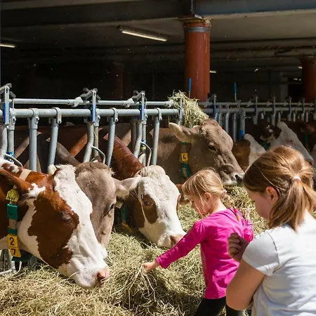 Plattnerhof 公寓 *