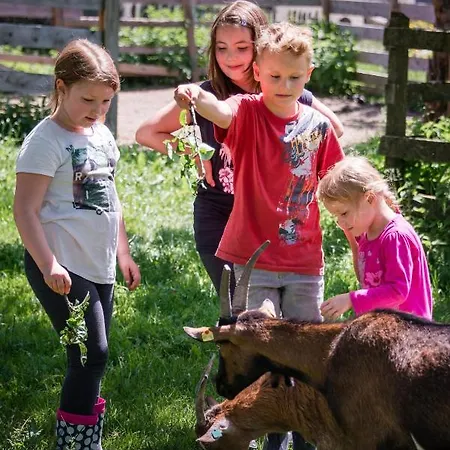 Plattnerhof 公寓 Terfens