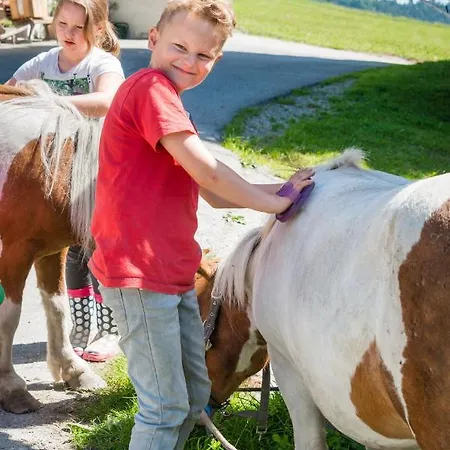 Plattnerhof 公寓 Terfens